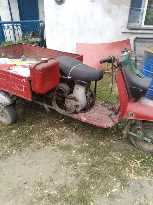 Салам алейкум муравей на ходу