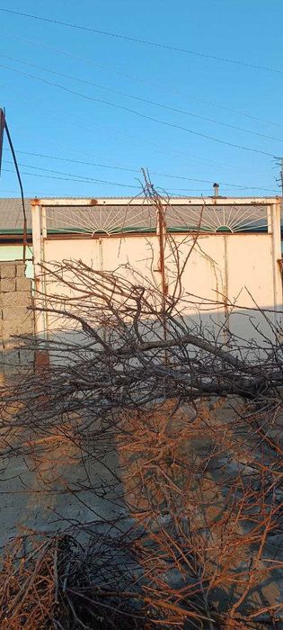 Продается дом срочно