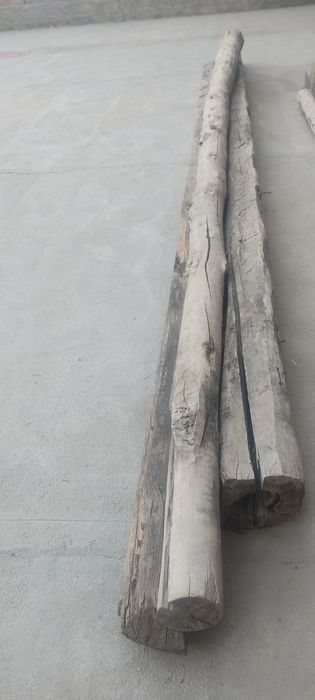 Сотилади 2та сосна 1 та терак 7метрдан