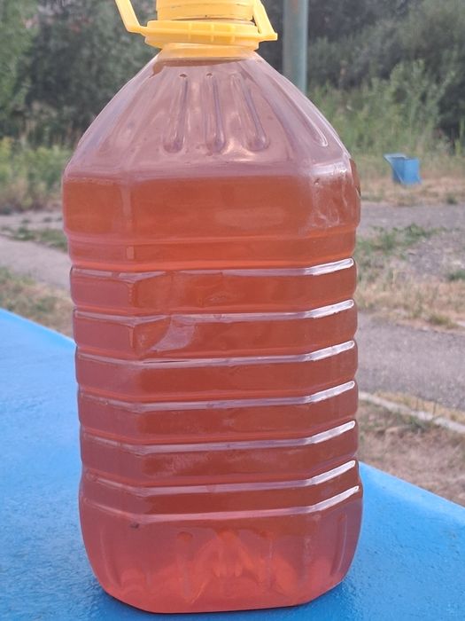Продам мёд горный лесной
