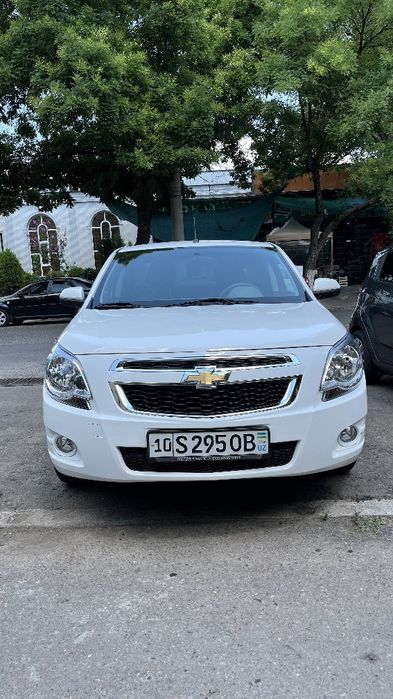 Cobalt 2026 bez kraski tozza