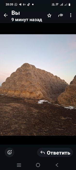 Продам солому пщеничную.В скирде