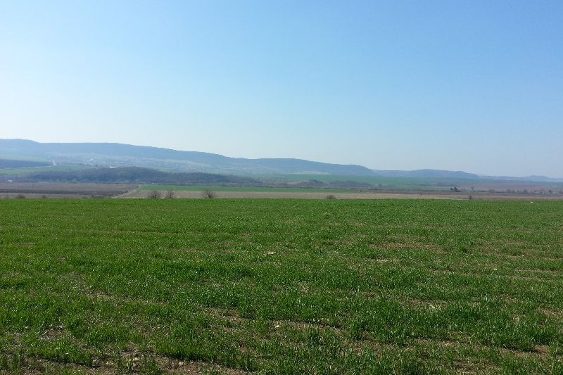 Топ Цена 22 €/кв.м! Обширен парцел пред регулация в с.Александрово