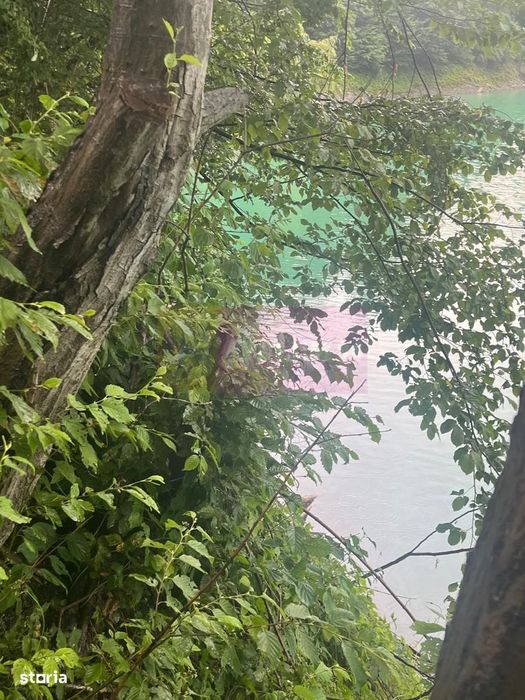 Teren cu deschidere la lac – Valea Doftanei, Prahova