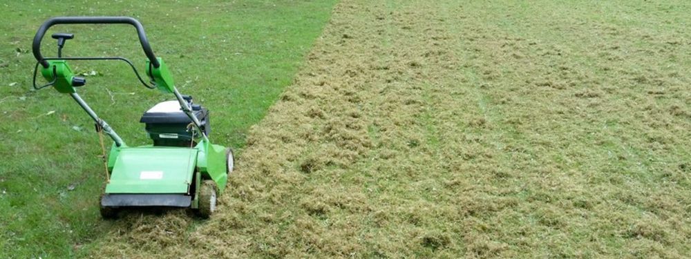 Скарификация газона