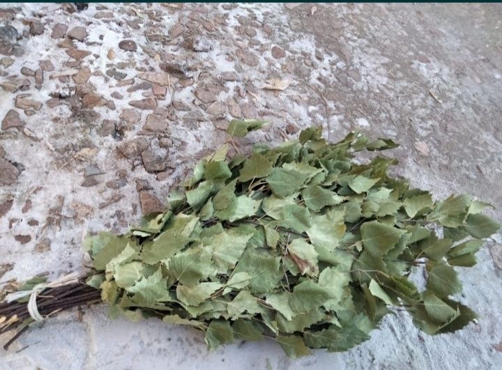 Продам берёзовые веники