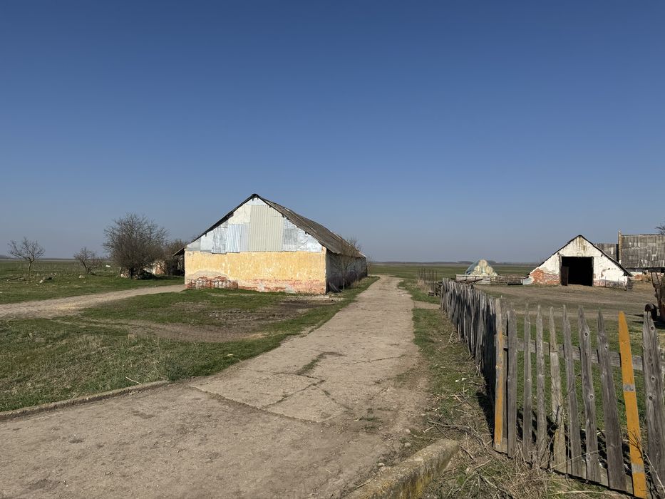 Ferma Bihor Salonta Baia Veche