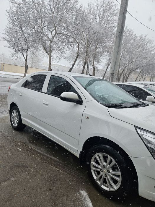 Кобальт. Ок. Фул. Стаел. Йил 2024