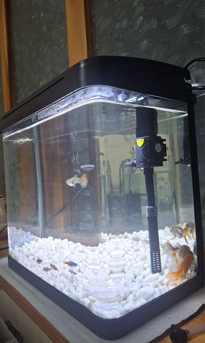 Xitoy zavadskoy 15litrlik  akvarium