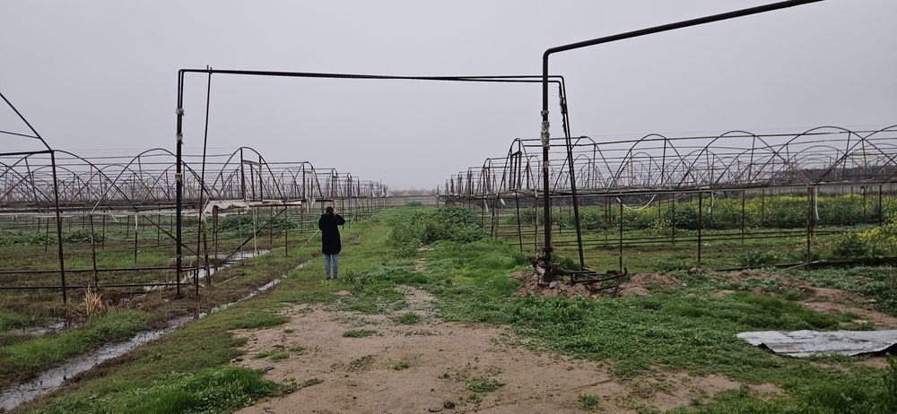 теплица 3 гектар жой ижарага берилади