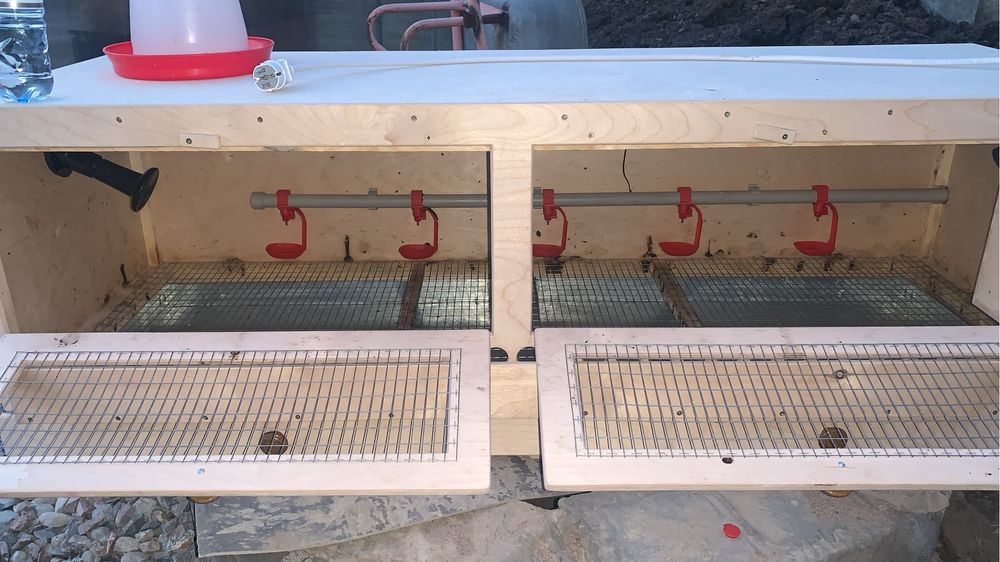 Брудер для цыплят