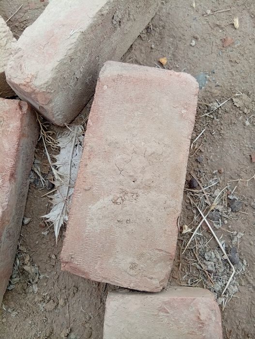 Пишган гишт сотилади