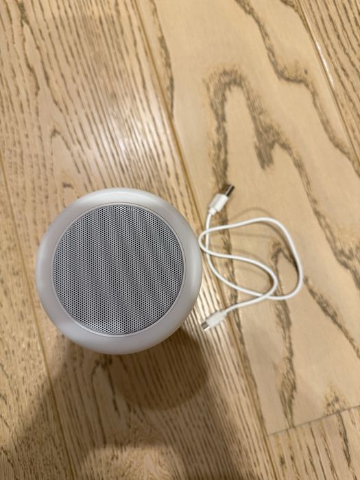 2в1 голонка, светильник