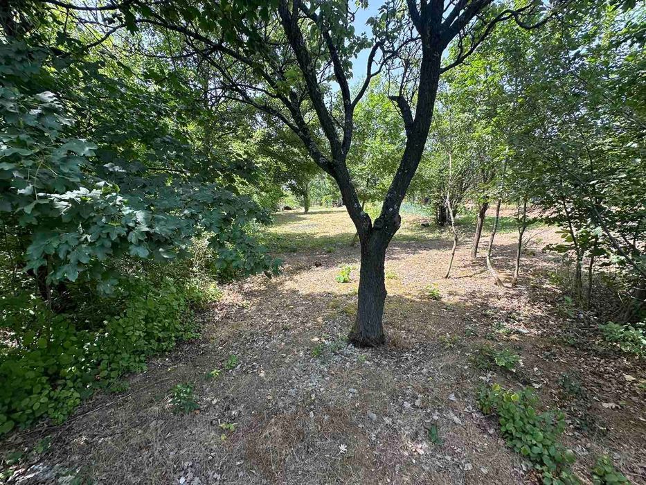 Продава се Парцел в Враца, Център - 2307 кв.м за 9 €/кв.м - Снимка #5