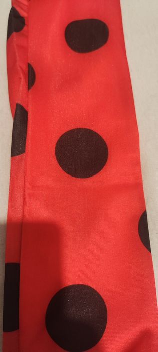 Costum Buburuza Miraculoasa