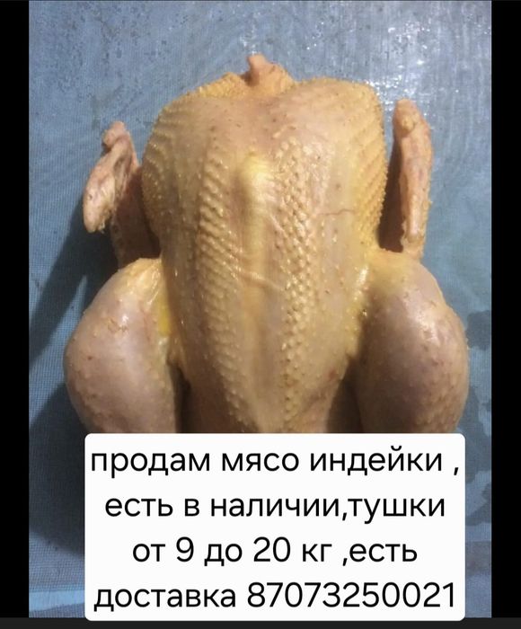 Продам мясо индейки