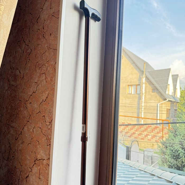 Трость новый