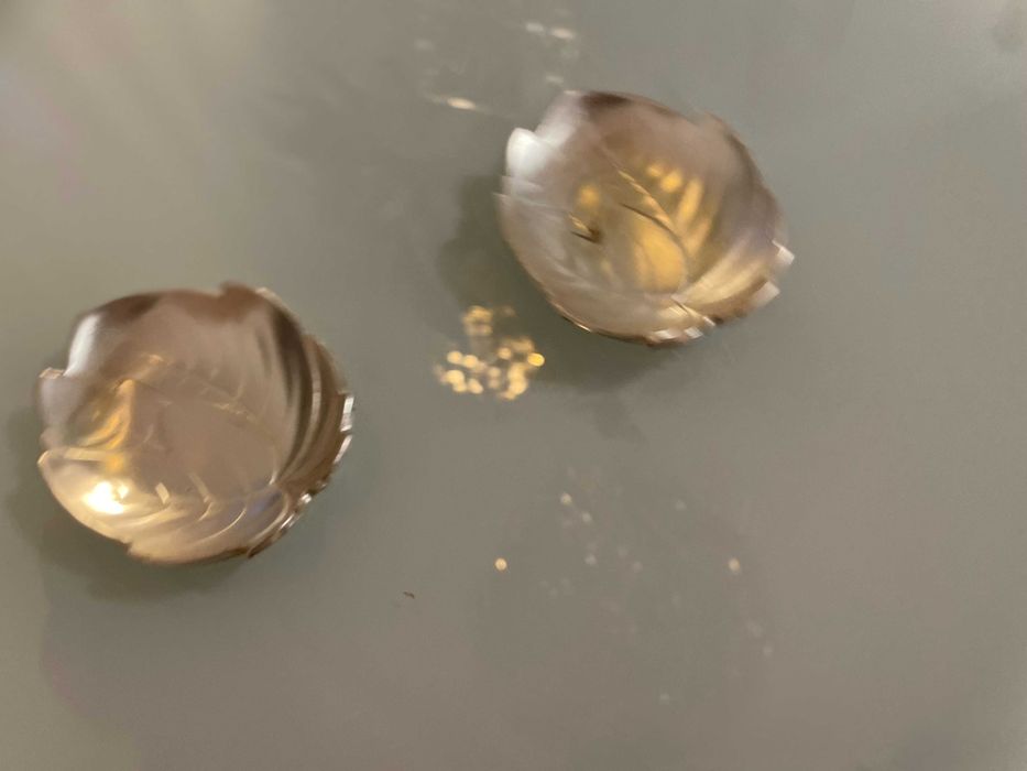 WMF frunze decoratiuni pt servit masa in gradina depozitarere diverse