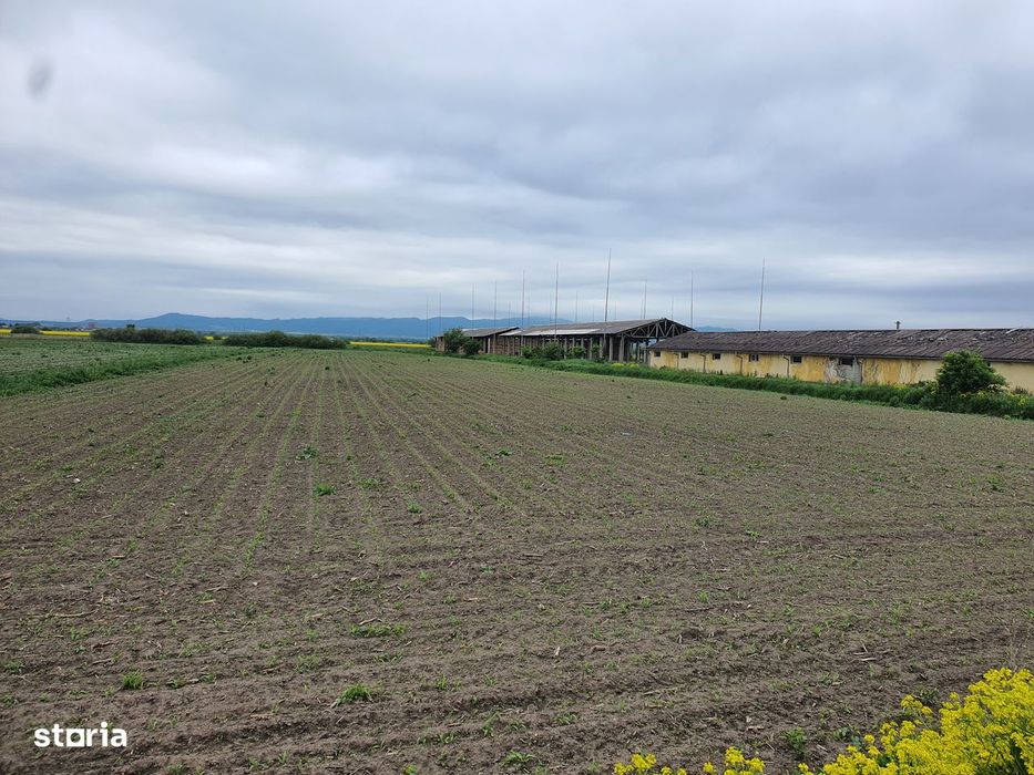 Teren Industrial Brasov - Halchiu cu deschidere la DN 13