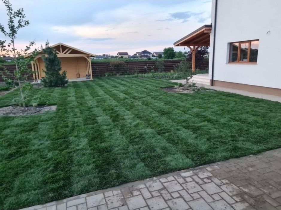 Gazon rulou la un super pret