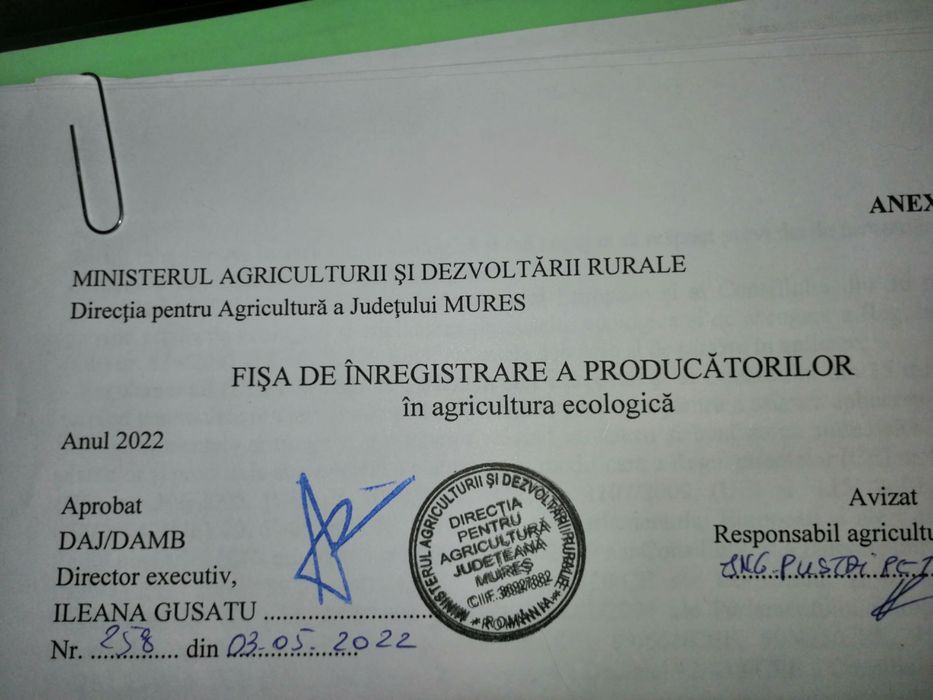 Alune proaspete Atestate Ecologic