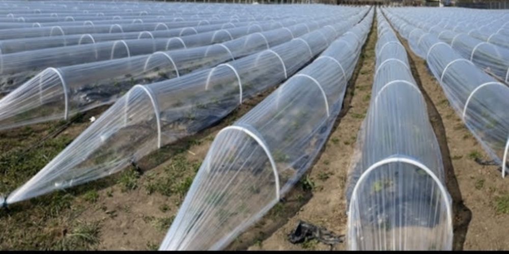 Arce minituneluri solar sera