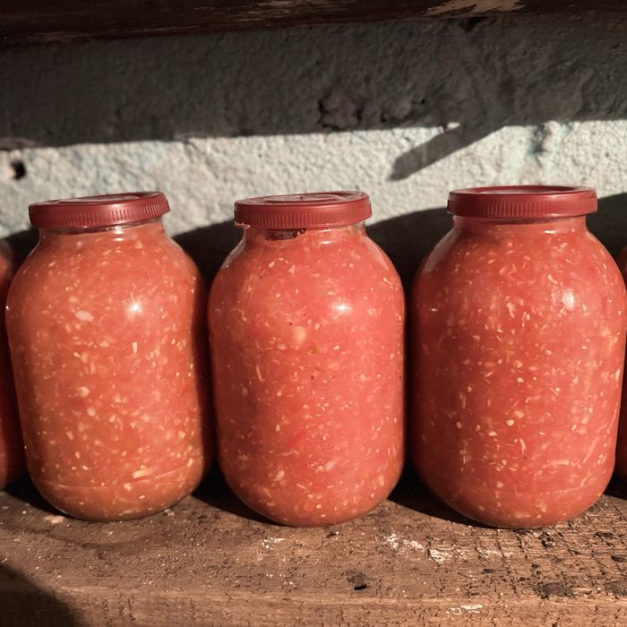 Хреновина домашняя. Кобра