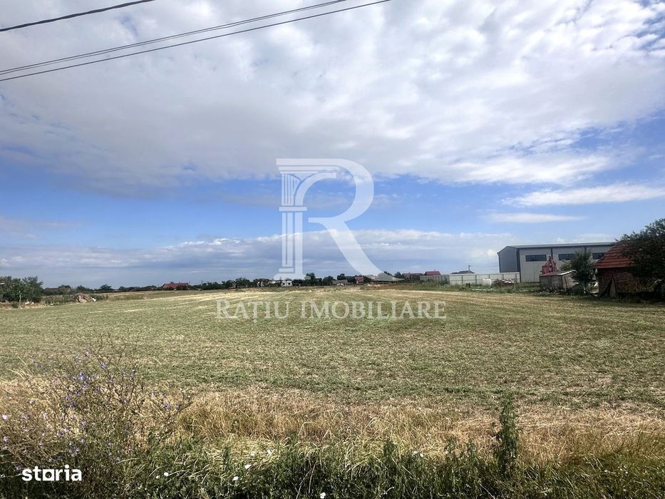 Investiție cu potențial | Teren intravilan 9.482 mp | Leș, Bihor