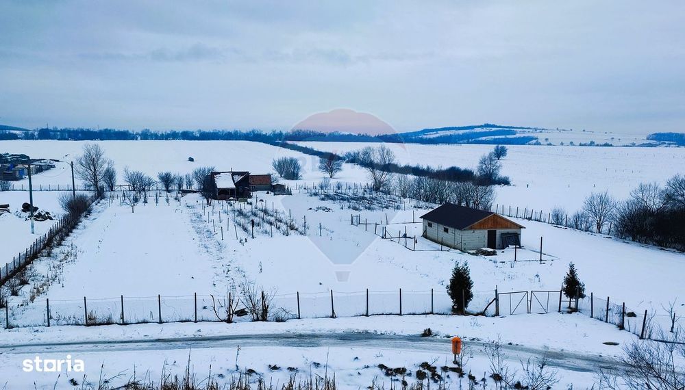 Teren intravilan 9.574 mp în Săliște, poziție strategică, ideal invest