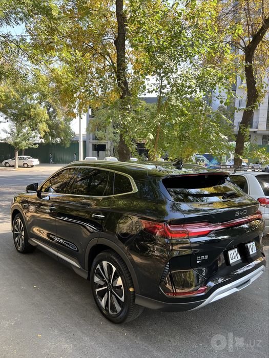 BYD chempion 2025 smart