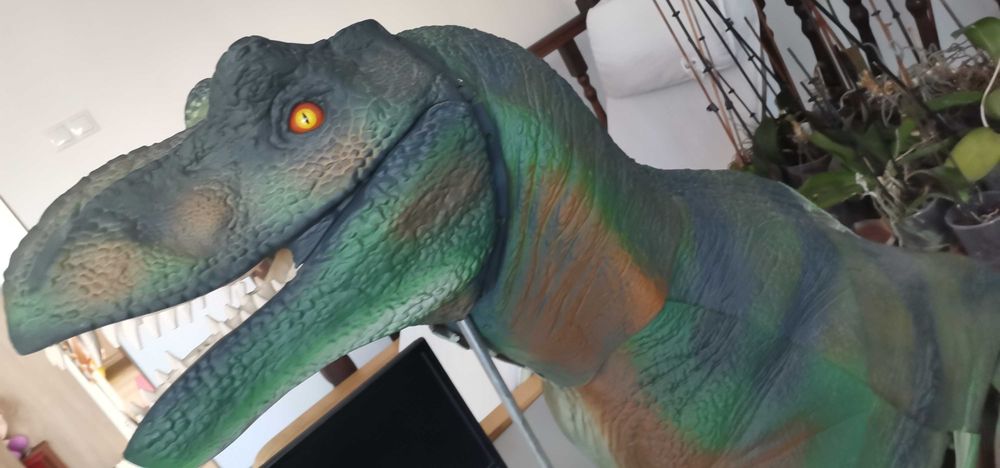Vand Dinozaur 1,10M+81 de reviste cu informatii despre dinozauri