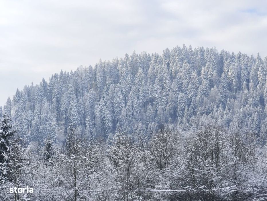 Teren intravilan, 22600mp, zona Manastirea Sucevita