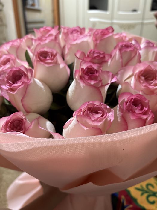 Гүл керектер хабарласыңдар