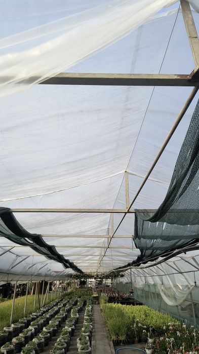 Vând solar din galvant 840 mp