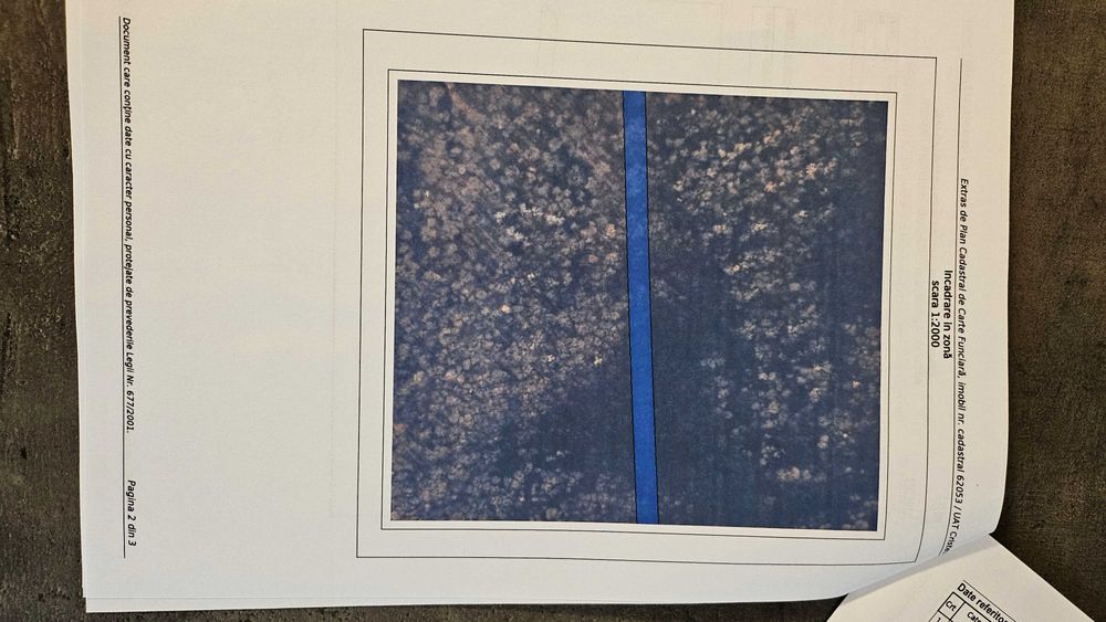 Padure -10000 mp ( 1 ha )  , comuna Cristesti - Motca , jud. Iasi .