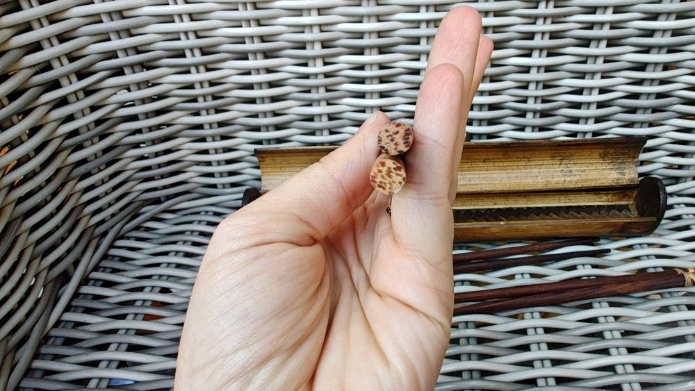 Bețișoare chinezești