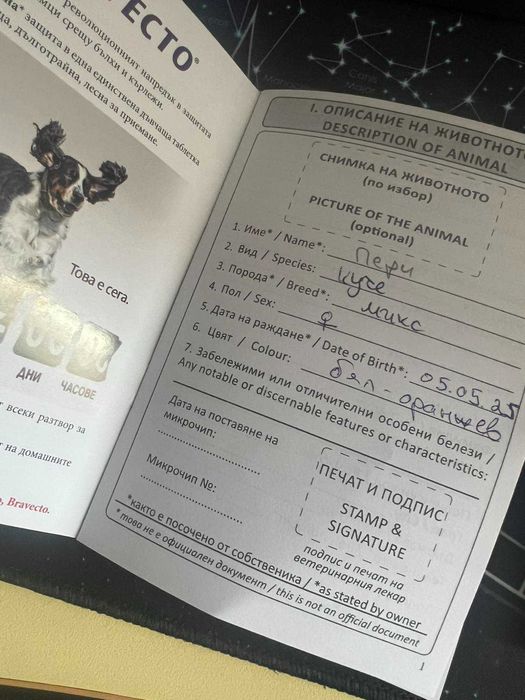 Намерени кученца търсят своя нов дом!