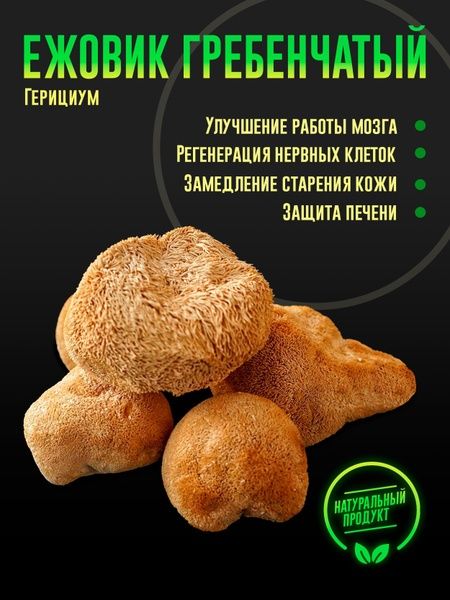 Ежовик гребенчатый