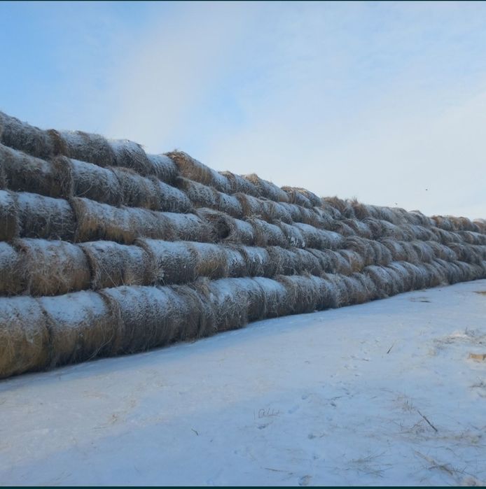 Продам луговое сено в рулонах