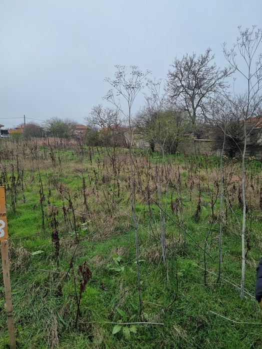 Продава се Парцел в Балчик - 1800 кв.м за 10 €/кв.м - Снимка #2