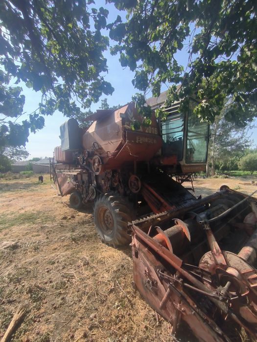 Enesi kanbayin sotiladi