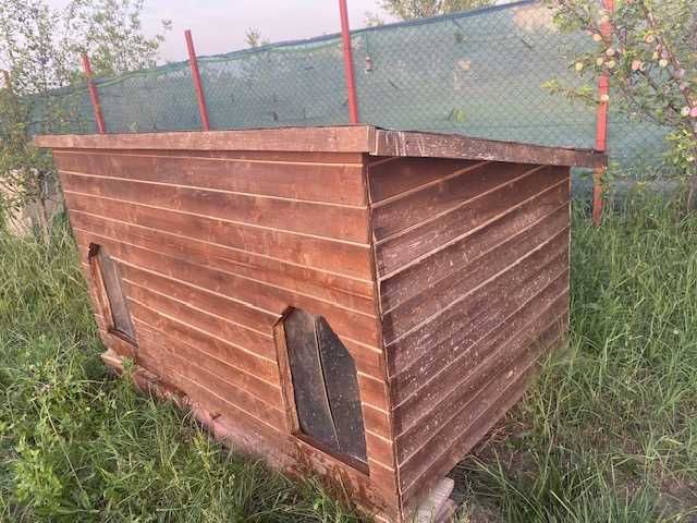 Casuta prietenoasa pentru doi catei talie medie/mare