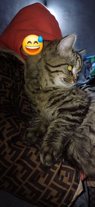 2мальчика 1девочка. Очень тактильные игривые