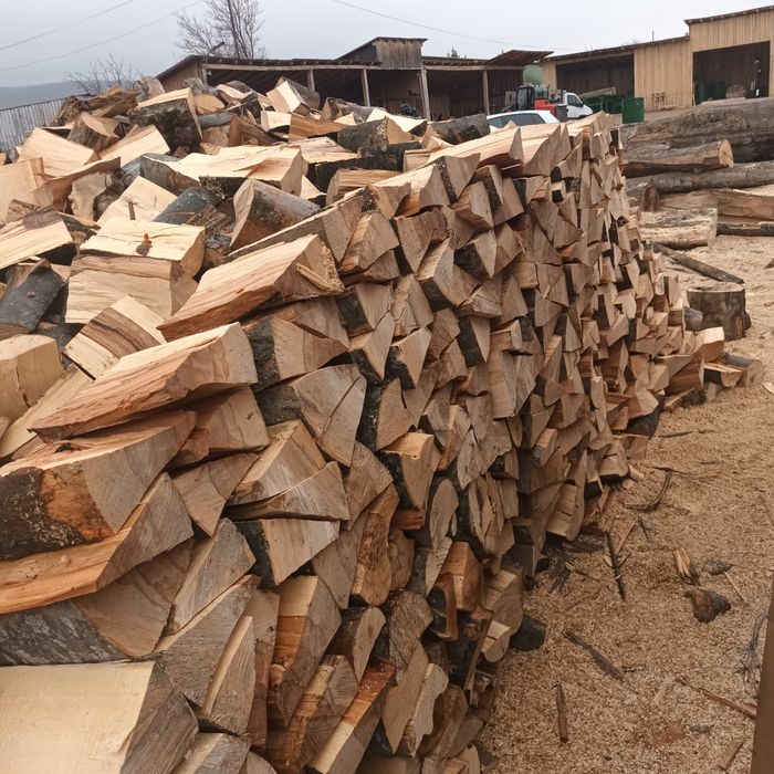 Lemne de foc fag capete uscate sau verzi 800 lei masina