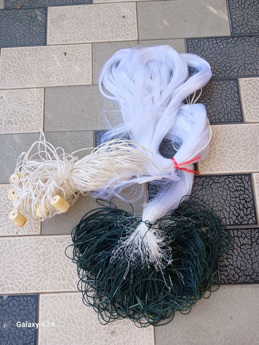 Хамелеон Тор Сетка. Таиланд.