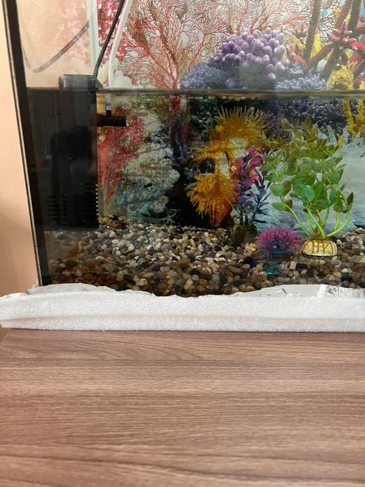 Продадется аквариум