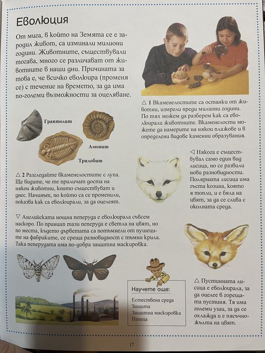 Енциклопедия за животните