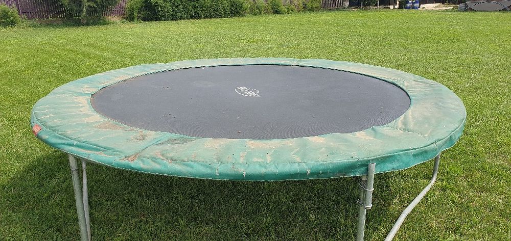 Tranbulina mare cum se vede în poza