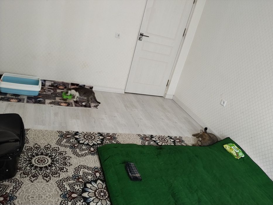 Movaroda 2 xonali uy oilaga ijaraga beriladi.