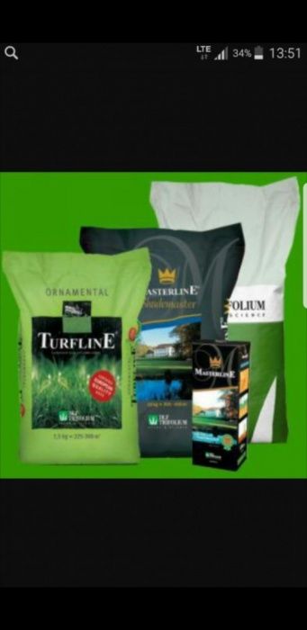 Газонная трава семена газон